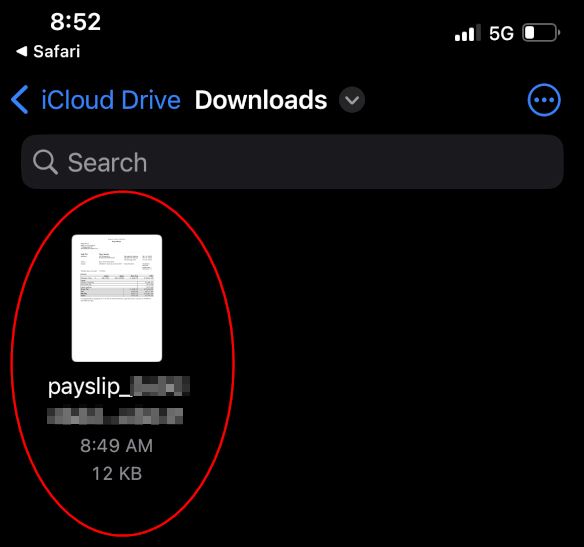 Payslipiphone08