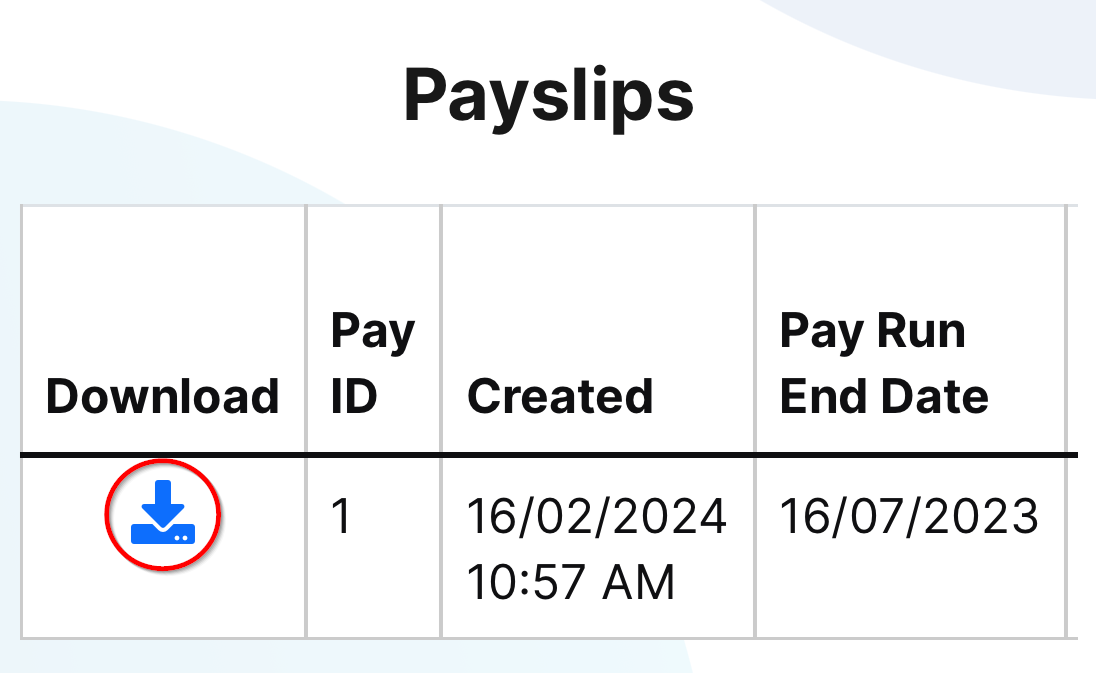Payslipiphone4