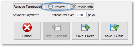 Preview report option